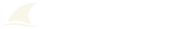 IFFER AI Medical Solution
